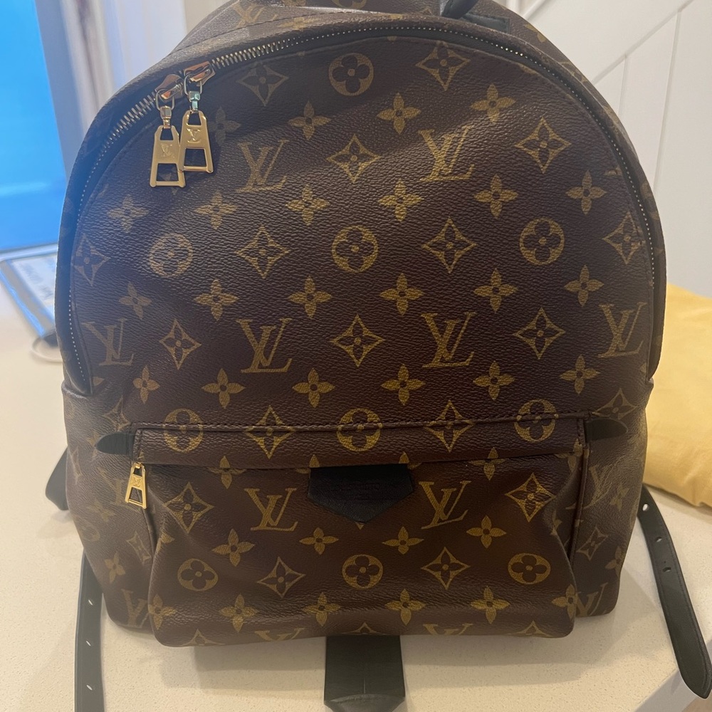 LOUIS VUITTON Authentic Palm Springs MM Backpack